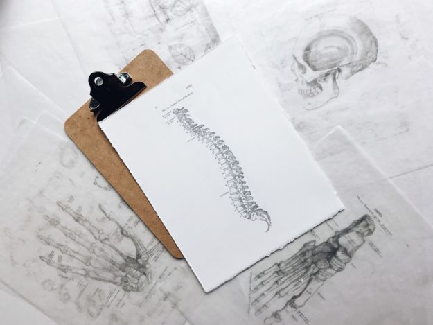 chiropractic nurse chiropractic nurse